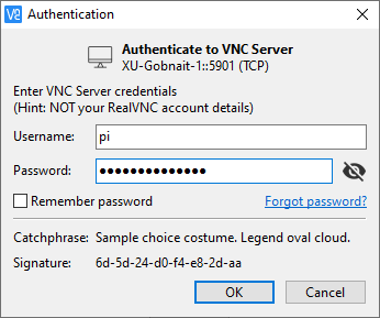 VNC authentication.png