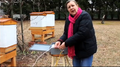 SCBA hives 201402.png