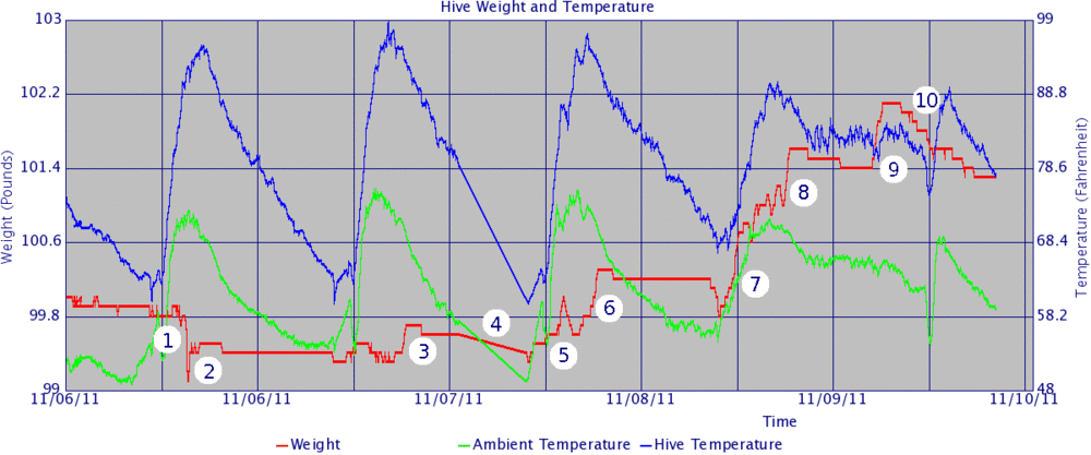 Hive graph 20111111 athens move.gif