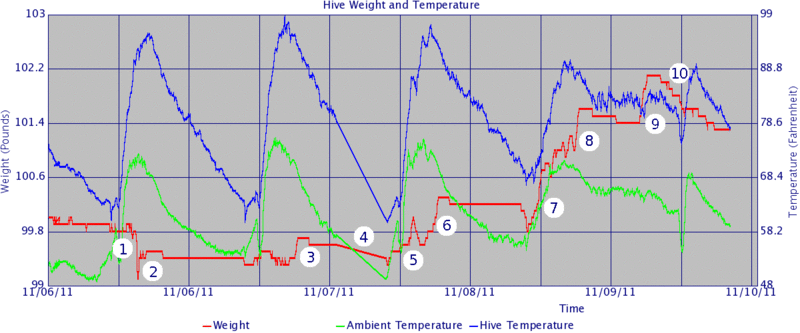 File:Hive graph 20111111 athens move.gif