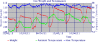 Hive graph 20111006 small.gif