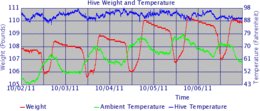 Hive graph 20111006 small.gif